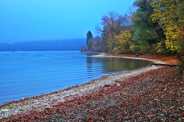 Free graphic bay fall lake thun autumn colors to be edited by GIMP free image editor by OffiDocs