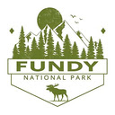 Bay of Fundy  screen for extension Chrome web store in OffiDocs Chromium