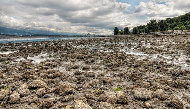 Descărcare gratuită Bc Beach Beautiful - fotografie sau imagini gratuite pentru a fi editate cu editorul de imagini online GIMP