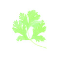 Bdd.Cyfrowy.Podpis  screen for extension Chrome web store in OffiDocs Chromium