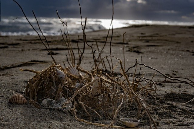 Kostenloser Download Strand Andalusien Spanien - kostenloses Foto oder Bild zur Bearbeitung mit GIMP Online-Bildbearbeitung