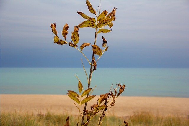 Free download Beach Autumn Sky -  free photo or picture to be edited with GIMP online image editor