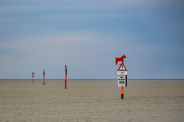 Descărcare gratuită Beach Barks Red - fotografie sau imagine gratuită pentru a fi editată cu editorul de imagini online GIMP