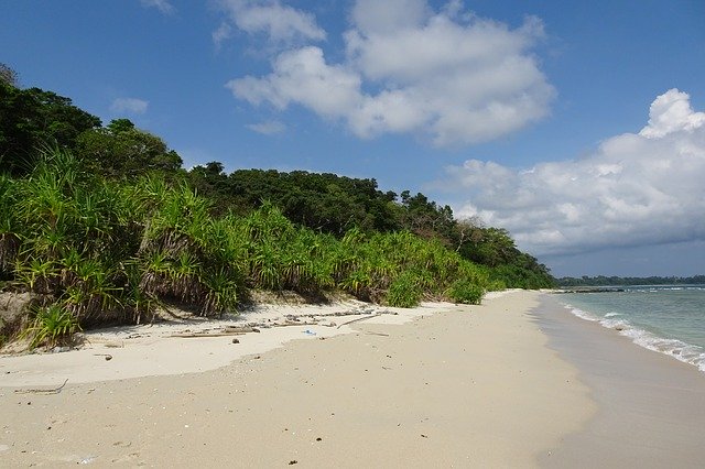 Template Photo Beach Bay Vegetation for OffiDocs