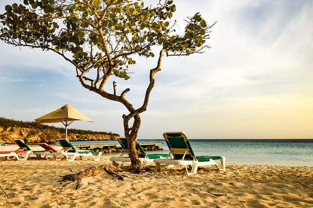 Free download beach beach chairs shore caribbean free picture to be edited with GIMP free online image editor