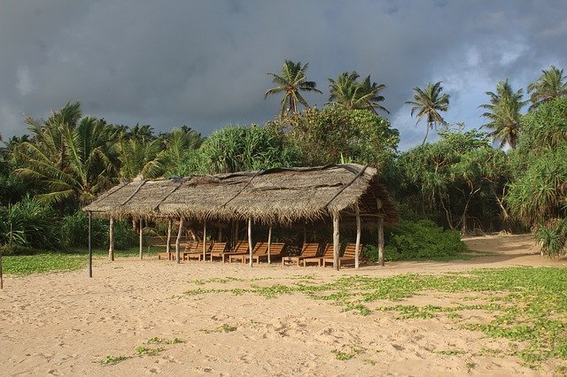 Gratis download Beach Bentota Sri Lanka - gratis foto of afbeelding om te bewerken met GIMP online afbeeldingseditor
