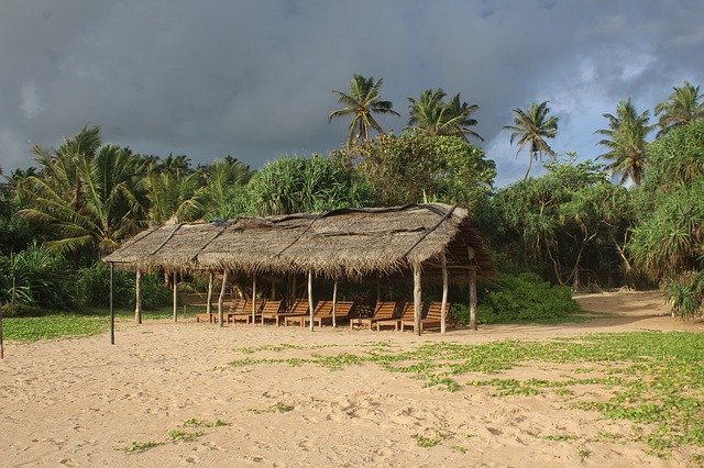 Free download Beach Bentota Sri Lanka -  free photo or picture to be edited with GIMP online image editor