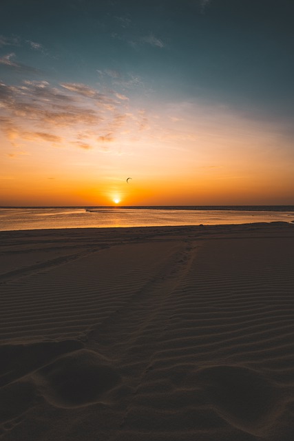 Free download beach coast sunset sea ocean sand free picture to be edited with GIMP free online image editor