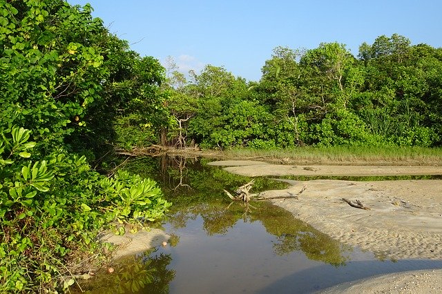 تنزيل Beach Creek Sea مجانًا - صورة أو صورة مجانية ليتم تحريرها باستخدام محرر الصور عبر الإنترنت GIMP