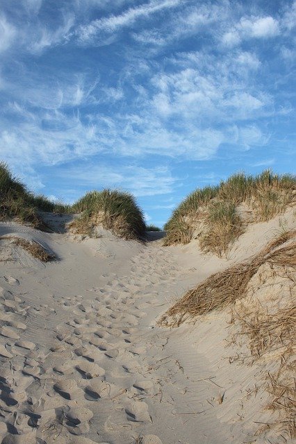 Free download Beach Dune Sand -  free photo or picture to be edited with GIMP online image editor