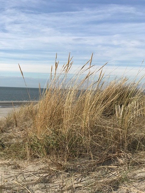 Free download Beach Dune Sea North -  free photo or picture to be edited with GIMP online image editor