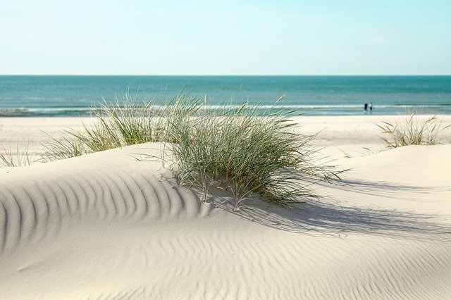 Muat turun percuma Beach Dunes Gentle Dune - foto atau gambar percuma untuk diedit dengan editor imej dalam talian GIMP