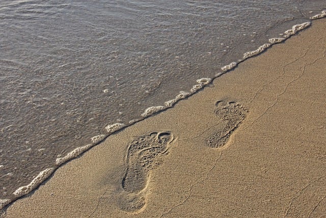Free download beach foot prints walk on the beach free picture to be edited with GIMP free online image editor