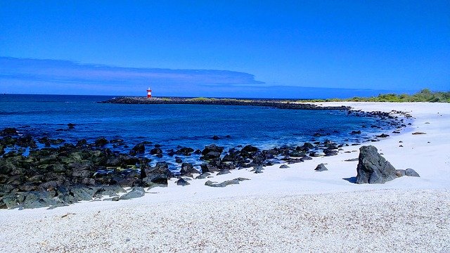 Free download Beach Galápagos Ecuador -  free photo or picture to be edited with GIMP online image editor