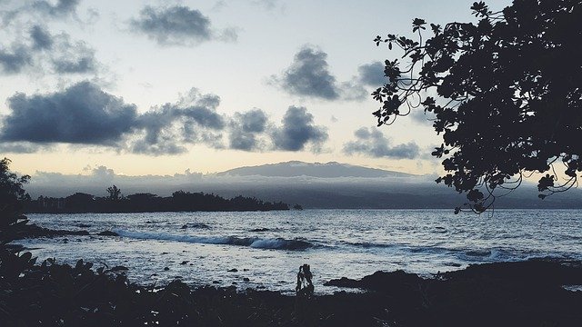 Şablon Fotoğraf Sahil Hawaii Tropikal - OffiDocs için