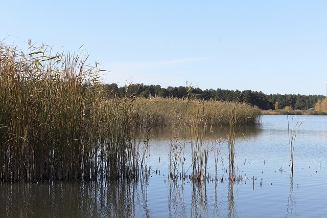 Free download Beach Lake Grass -  free photo or picture to be edited with GIMP online image editor