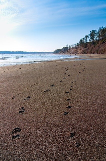 Free download Beach Landscape Nature -  free photo or picture to be edited with GIMP online image editor