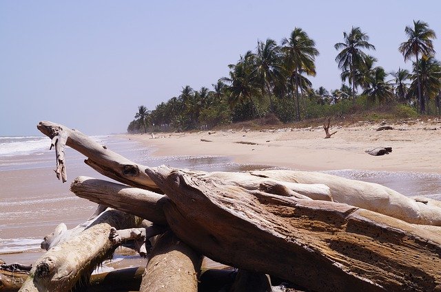 Muat turun percuma Beach Machurucuto Miranda - foto atau gambar percuma percuma untuk diedit dengan editor imej dalam talian GIMP