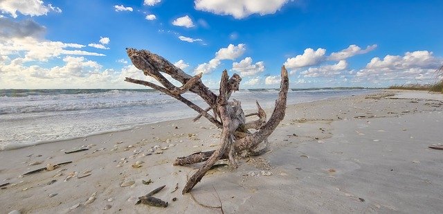 دانلود رایگان Beach Marco Islam Kite Surf - عکس یا تصویر رایگان قابل ویرایش با ویرایشگر تصویر آنلاین GIMP