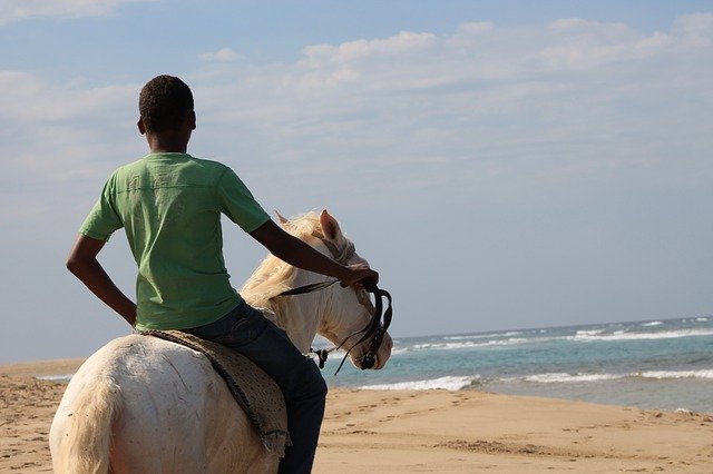 Download grátis Beach Ocean Horse - foto ou imagem grátis para ser editada com o editor de imagens online GIMP