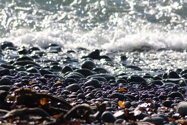 Free download beach ocean wave water scenery free picture to be edited with GIMP free online image editor