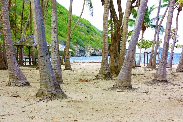 Gratis download Strand Pompierre Guadeloupe Saintes - gratis foto of afbeelding om te bewerken met de online GIMP-afbeeldingseditor