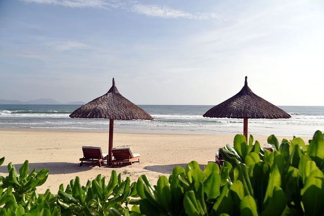 Free download beach sand sea ocean holidays free picture to be edited with GIMP free online image editor