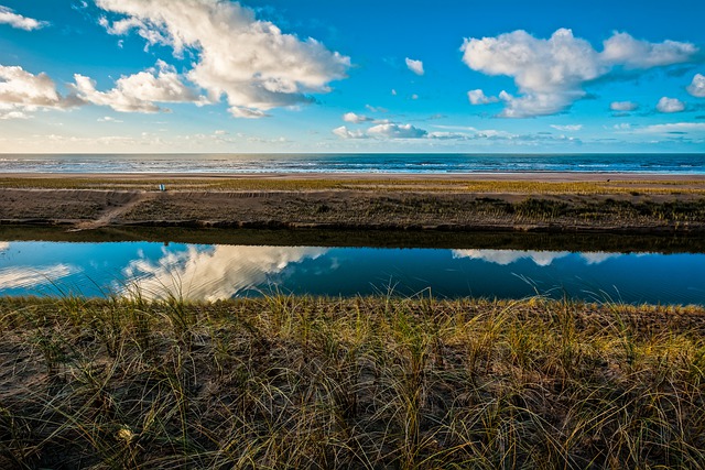 Free download beach sea marram grass clouds free picture to be edited with GIMP free online image editor