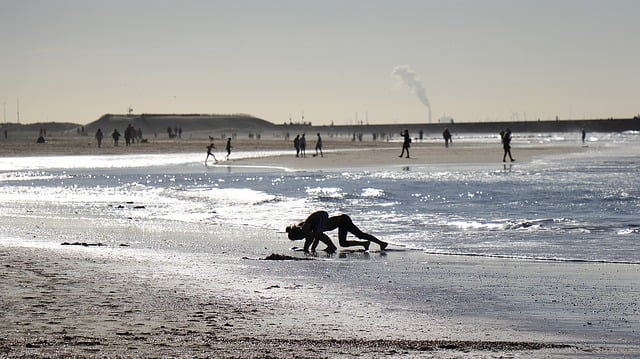 Free download beach sea netherlands holland free picture to be edited with GIMP free online image editor