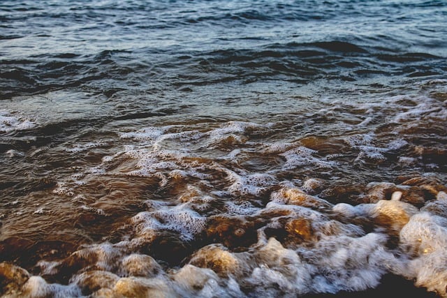 Free download beach sea ocean coast waves free picture to be edited with GIMP free online image editor