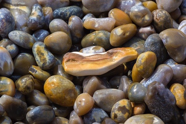 ดาวน์โหลดฟรี Beach Stones Petrified - ภาพถ่ายหรือรูปภาพฟรีที่จะแก้ไขด้วยโปรแกรมแก้ไขรูปภาพออนไลน์ GIMP