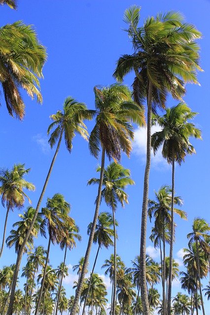 ดาวน์โหลดฟรี Beach Sun Nature - ภาพถ่ายหรือรูปภาพฟรีที่จะแก้ไขด้วยโปรแกรมแก้ไขรูปภาพออนไลน์ GIMP