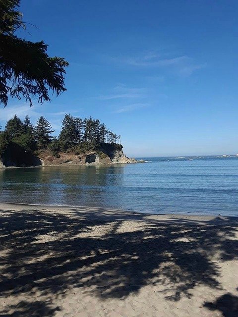 Free download Beach Trees Cove -  free photo or picture to be edited with GIMP online image editor