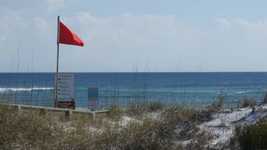 Free download Beach Vacation Gulf free video to be edited with OpenShot online video editor