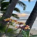 beach wallpaper  screen for extension Chrome web store in OffiDocs Chromium