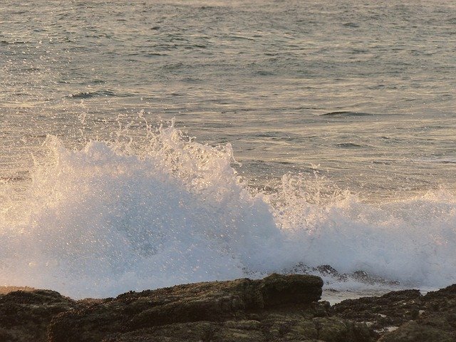 Téléchargement gratuit Beach Wave Ocean - photo ou image gratuite à éditer avec l'éditeur d'images en ligne GIMP