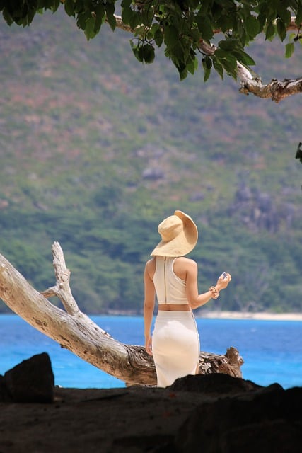 Free download beach woman sea sychelles free picture to be edited with GIMP free online image editor
