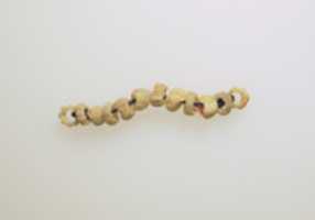 Free download Beads, 12 free photo or picture to be edited with GIMP online image editor