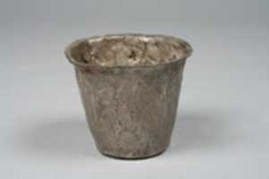 Free download Beaker with embossed plants free photo or picture to be edited with GIMP online image editor