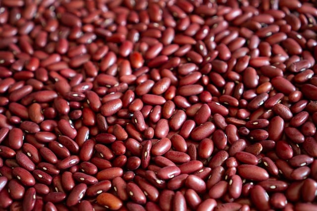 Free download beans organic red beans food free picture to be edited with GIMP free online image editor
