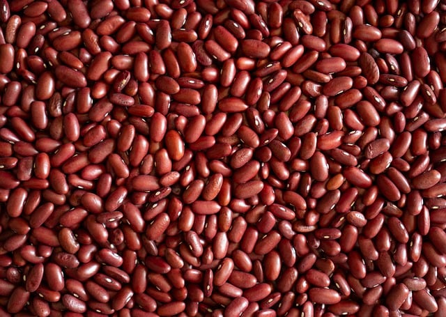 Free download beans red beans vegan food healthy free picture to be edited with GIMP free online image editor