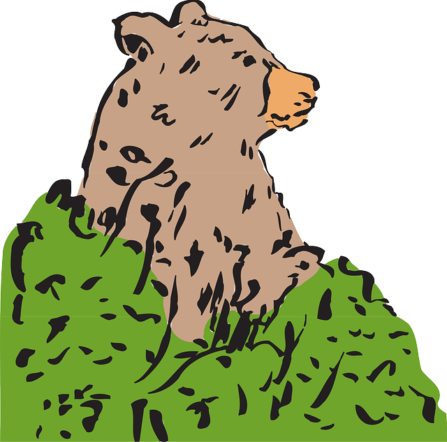 Free download Bear Brown Ursus - Free vector graphic on Pixabay free illustration to be edited with GIMP free online image editor