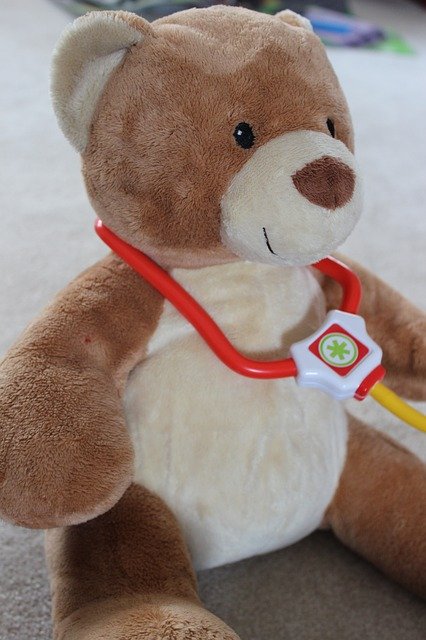 Free download Bear Doctor Profession -  free photo or picture to be edited with GIMP online image editor