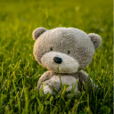 Bear in the Meadow  screen for extension Chrome web store in OffiDocs Chromium