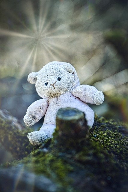 Free download bear little bear teddy teddy bear free picture to be edited with GIMP free online image editor