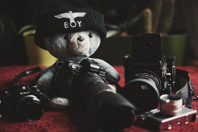 Téléchargement gratuit d'une photo gratuite de peluche d'appareil photo de photographe d'ours à modifier avec l'éditeur d'images en ligne gratuit GIMP