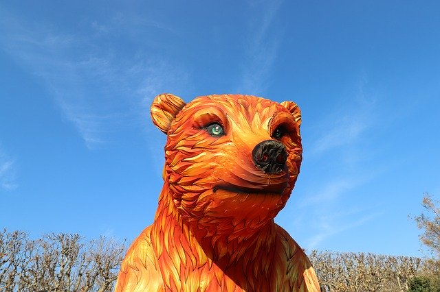 Free download Bear Silk Museum Of Natural -  free photo or picture to be edited with GIMP online image editor