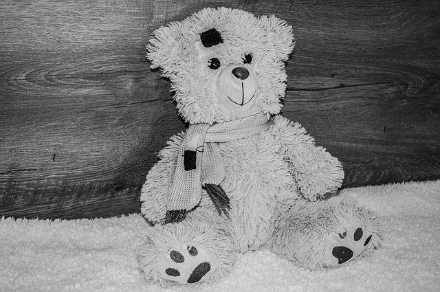 Free download Bear Teddy Cute -  free photo or picture to be edited with GIMP online image editor