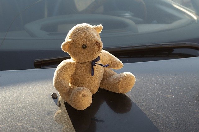 Free download Bear Toy Teddy -  free photo or picture to be edited with GIMP online image editor