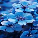 beautiful blue flower wallpaper  screen for extension Chrome web store in OffiDocs Chromium